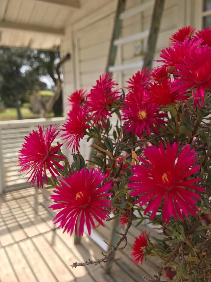 Tenuta I Quattro Venti Villa Otranto Buitenkant foto